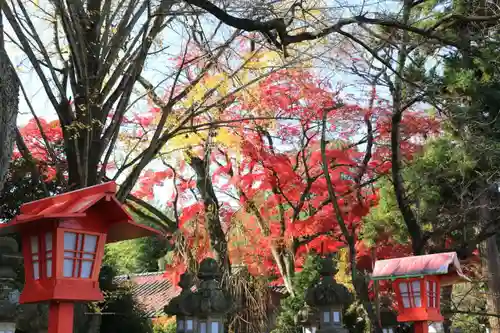 神炊館神社 ⁂奥州須賀川総鎮守⁂の景色