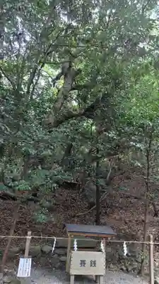 出雲大神宮(京都府)