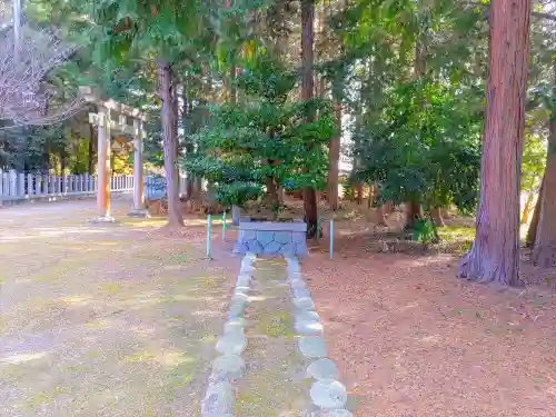 熊野神社の自然
