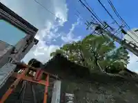 楠稲荷神社(長崎県)