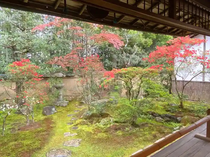 大雄院(京都府)