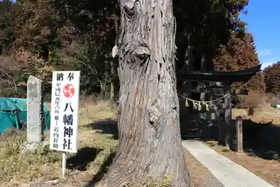 八幡神社の自然