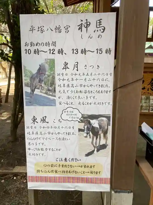 平塚八幡宮(神奈川県)