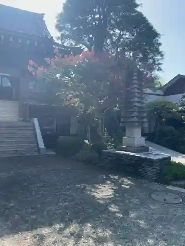 総持寺の{uncategorized: "未分類", other: "その他", undefined: "問題あり", building: "その他建物", grave: "お墓", sacred_gate: "鳥居", guardian: "狛犬", statue: "像", buddha: "仏像", history: "歴史", nature: "自然", garden: "庭園", animal: "動物", pagoda: "塔", temizu: "手水舎", mountain_gate: "山門・神門", sanctuary: "本殿・本堂", subordinate: "末社・摂社", art: "芸術", scenery: "景色", jizo: "地蔵", ema: "絵馬", goshuin: "御朱印", omikuji: "おみくじ", items: "授与品その他", amulet: "お守り", goshuincho: "御朱印帳", eats: "食事", festival: "お祭り", votive_dance: "神楽", shichigosan: "七五三参", wedding: "結婚式", experience: "体験その他", initially: "初詣", around: "周辺", anti_infection: "感染症対策"}