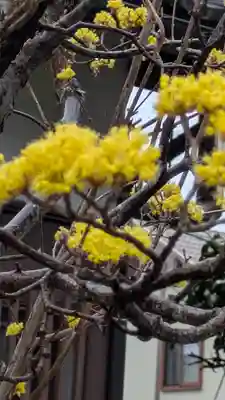 順應寺(滋賀県)