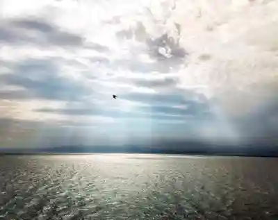 江島神社の周辺