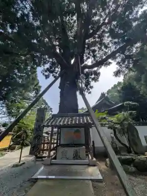 極楽寺(徳島県)