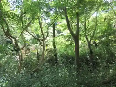 勝持寺（花の寺）(京都府)