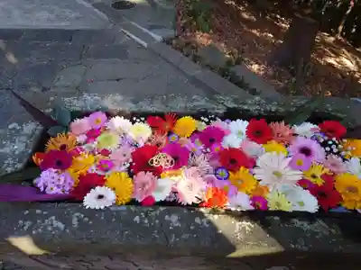 田間神社(千葉県)