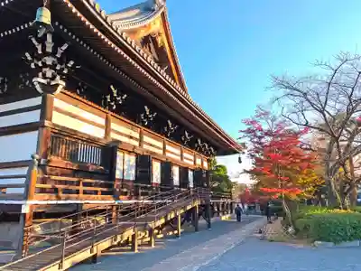妙顯寺(妙顕寺)の本殿・本堂