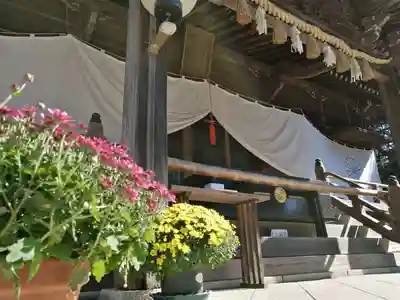 酒列磯前神社の本殿・本堂