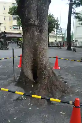 お三の宮日枝神社(神奈川県)