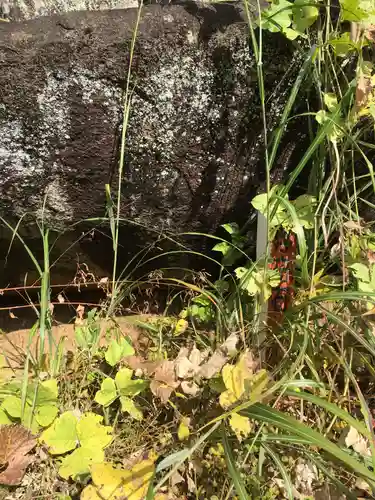 大石神社の自然