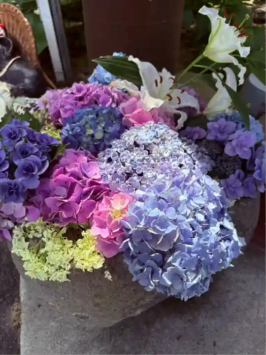 普門寺(切り絵御朱印発祥の寺)(愛知県)