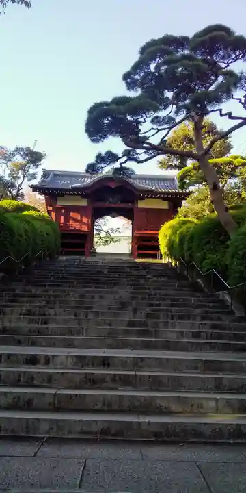 護国寺の山門・神門
