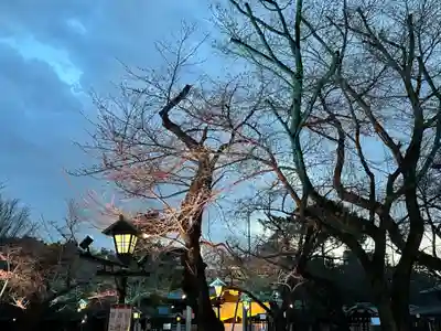 靖國神社(東京都)
