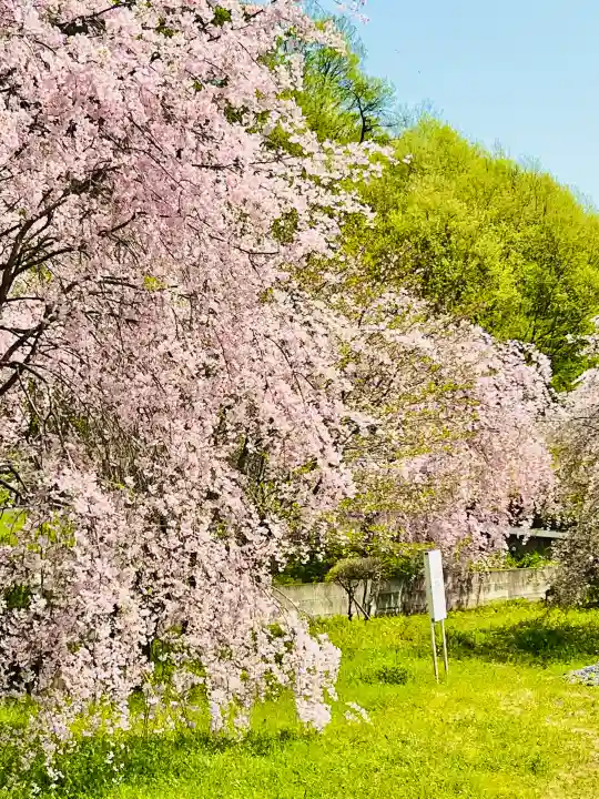 正蓮寺の{uncategorized: "未分類", other: "その他", undefined: "問題あり", building: "その他建物", grave: "お墓", sacred_gate: "鳥居", guardian: "狛犬", statue: "像", buddha: "仏像", history: "歴史", nature: "自然", garden: "庭園", animal: "動物", pagoda: "塔", temizu: "手水舎", mountain_gate: "山門・神門", sanctuary: "本殿・本堂", subordinate: "末社・摂社", art: "芸術", scenery: "景色", jizo: "地蔵", ema: "絵馬", goshuin: "御朱印", omikuji: "おみくじ", items: "授与品その他", amulet: "お守り", goshuincho: "御朱印帳", eats: "食事", festival: "お祭り", votive_dance: "神楽", shichigosan: "七五三参", wedding: "結婚式", experience: "体験その他", initially: "初詣", around: "周辺", anti_infection: "感染症対策"}