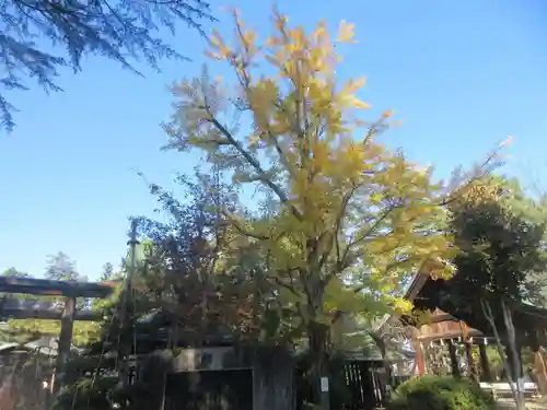 上杉神社(山形県)