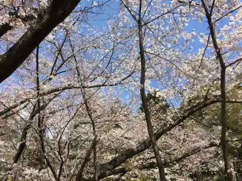 富士浅間神社の景色