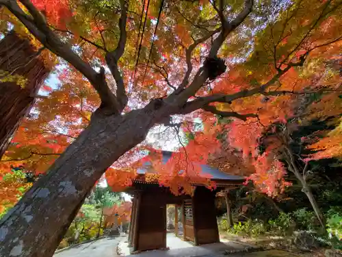 普門寺(切り絵御朱印発祥の寺)の山門・神門