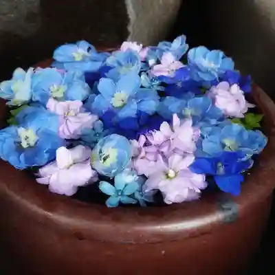 菅生神社の手水舎