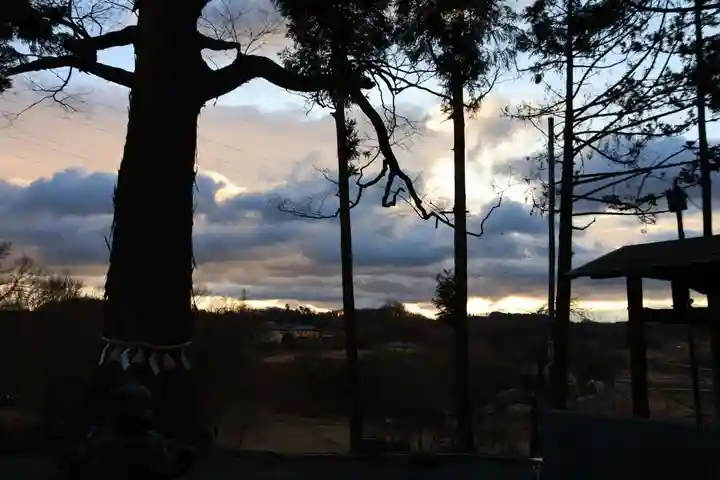 阿久津「田村神社」(郡山市阿久津町)旧社名:伊豆箱根三嶋三社の自然