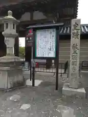 東寺（教王護国寺）(京都府)