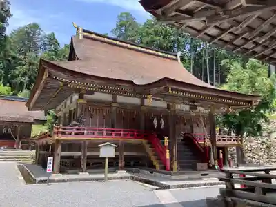 日吉大社の本殿・本堂