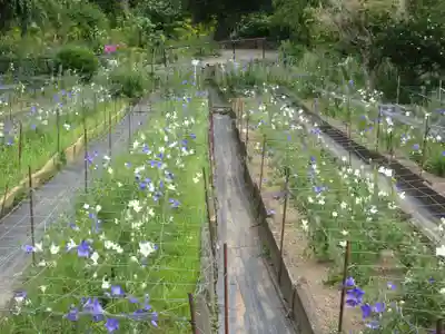 香勝寺(静岡県)