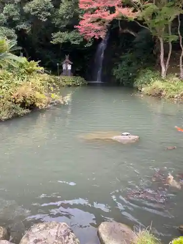 出雲大社北島国造館 出雲教(島根県)