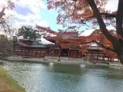 平等院の本殿