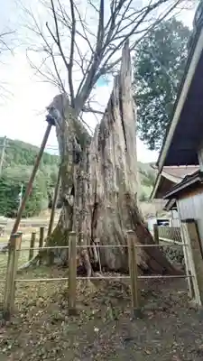 旗挙八幡宮(長野県)