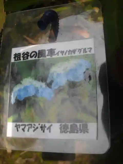 光則寺のその他建物