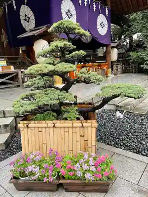 東京大神宮の本殿・本堂