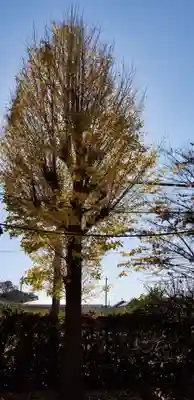 天豊受神社の自然