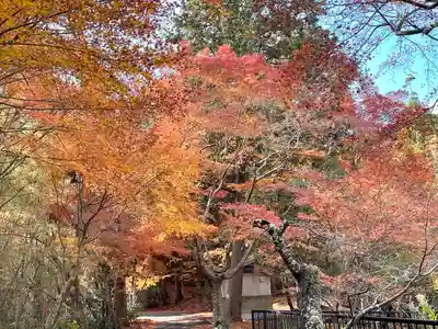 乾徳寺(滋賀県)