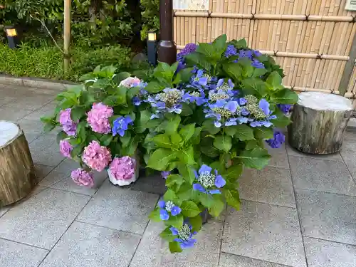 東京大神宮の庭園