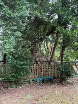 小御門神社(千葉県)