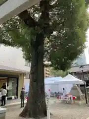 金山神社(愛知県)