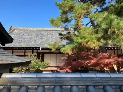 百萬遍知恩寺(京都府)