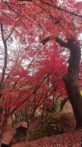 三春大神宮(福島県)
