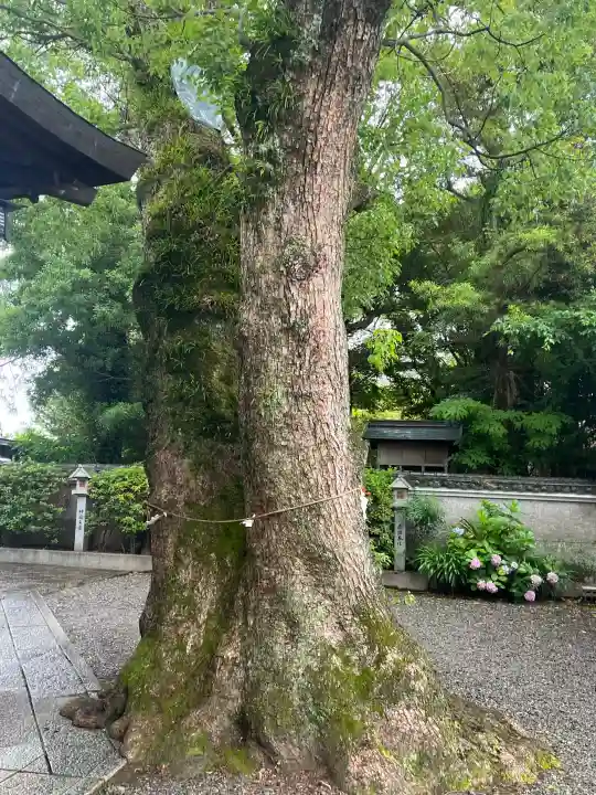 蟻通神社(和歌山県)