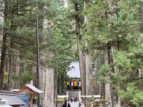高野山金剛峯寺奥の院(和歌山県)