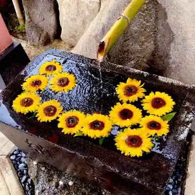 差出磯大嶽山神社 仕事と健康と厄よけの神さまの手水舎