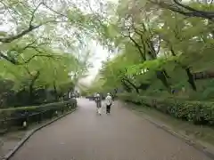 清水寺(京都府)