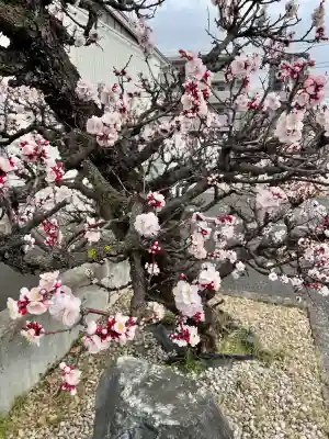 遍照院の{uncategorized: "未分類", other: "その他", undefined: "問題あり", building: "その他建物", grave: "お墓", sacred_gate: "鳥居", guardian: "狛犬", statue: "像", buddha: "仏像", history: "歴史", nature: "自然", garden: "庭園", animal: "動物", pagoda: "塔", temizu: "手水舎", mountain_gate: "山門・神門", sanctuary: "本殿・本堂", subordinate: "末社・摂社", art: "芸術", scenery: "景色", jizo: "地蔵", ema: "絵馬", goshuin: "御朱印", omikuji: "おみくじ", items: "授与品その他", amulet: "お守り", goshuincho: "御朱印帳", eats: "食事", festival: "お祭り", votive_dance: "神楽", shichigosan: "七五三参", wedding: "結婚式", experience: "体験その他", initially: "初詣", around: "周辺", anti_infection: "感染症対策"}