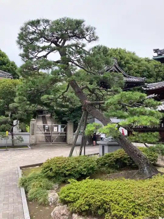 泉岳寺(東京都)