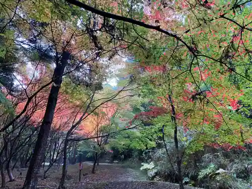 和氣神社（和気神社）の庭園