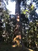 土佐神社の自然