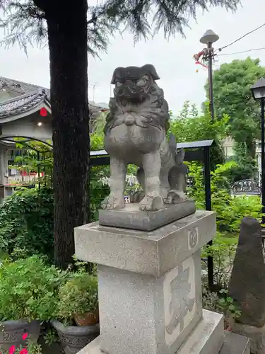 今戸神社の狛犬